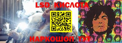 ПСИЛОЦИБИНОВЫЕ ГРИБЫ Краснодар