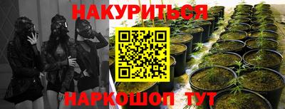 ПСИЛОЦИБИНОВЫЕ ГРИБЫ Краснодар
