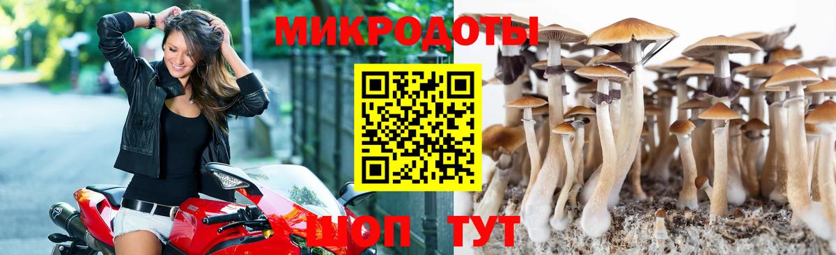 Долгопрудный  Галлюциногенные грибы мухоморы  Псилоцибиновые грибы мицелий  Вход с VPN 